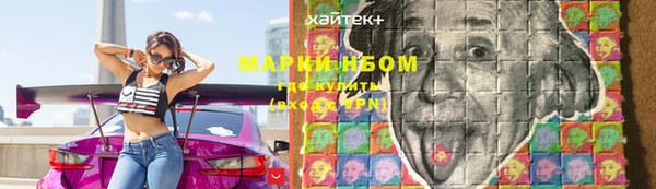 гидропоника Алзамай