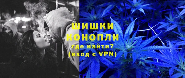 прущие грибы Абдулино