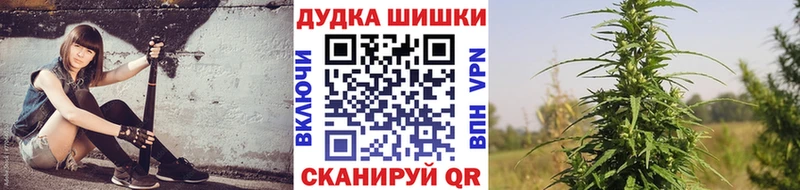 МЕГА ссылки  Канаш  Канабис сатива 
